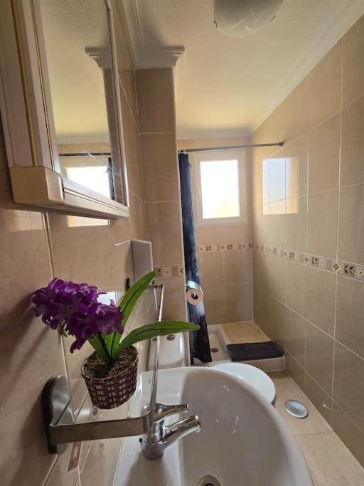 Apartament Carina 마르데크리스탈 외부 사진
